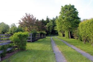 Robert Haldane Inc. | Custom Building | Landscape Design & Installation