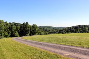 Robert Haldane Inc. | Custom Building | Landscape Design & Installation