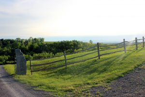 Robert Haldane Inc. | Custom Building | Landscape Design & Installation
