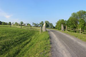 Robert Haldane Inc. | Custom Building | Landscape Design & Installation