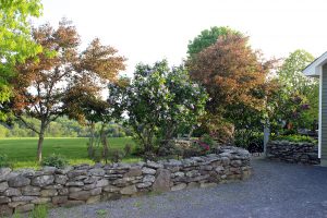 Robert Haldane Inc. | Custom Building | Landscape Design & Installation